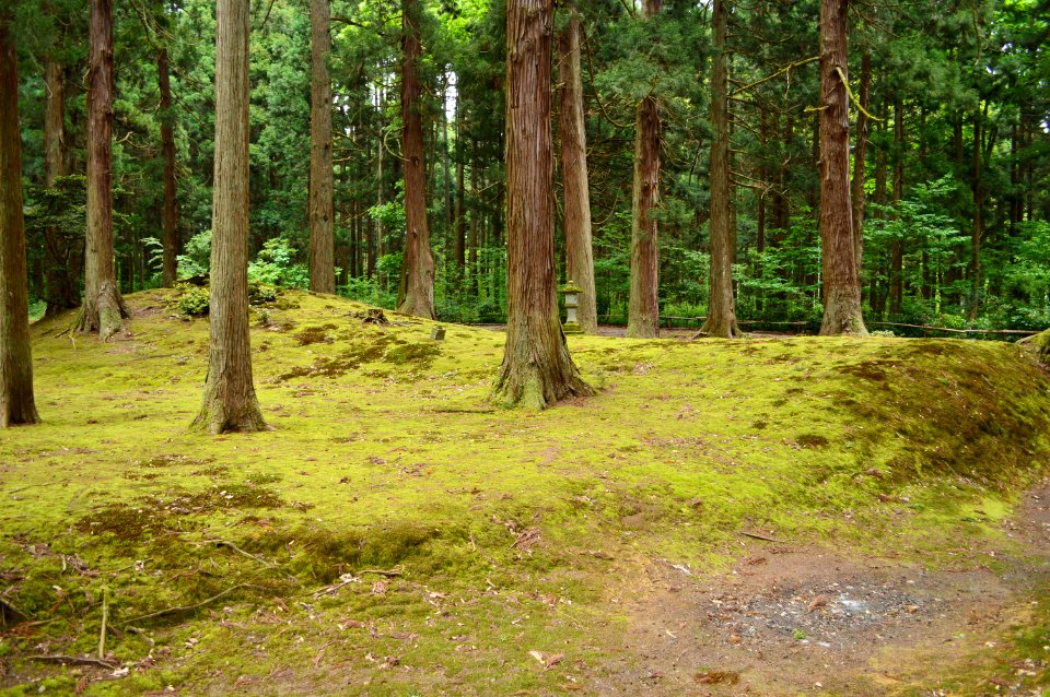 Sugawara Kofun, funkyu