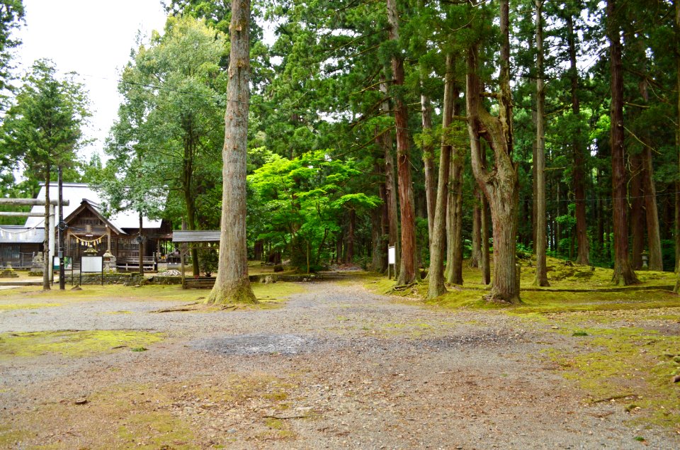 Sugawara-jinja (Joetsu) and Sugawara Kofun