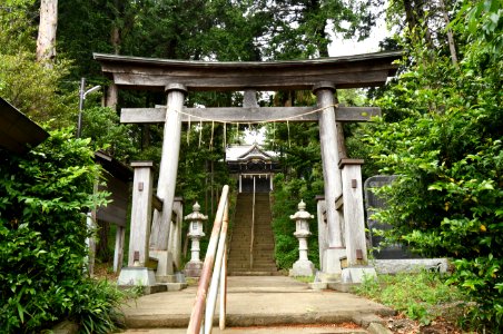 Sugiyama-jinja (Nishihassaku-cho, Midori-ku, Yokohama), torii