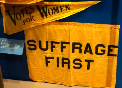 Suffrage pennant and banner used by Wisconsin or Milwaukee County Suffrage Association at the Republican National Convention, Chicago, Illinois, 1916 - Wisconsin Historical Museum - DSC03254