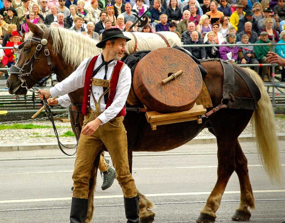 Oktoberfest parade horse