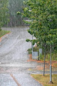 Summer rain in Brastad 3