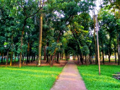 Suhrawardi Udyan 