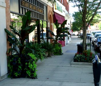 Summit NJ Springfield Avenue Sidewalk photo