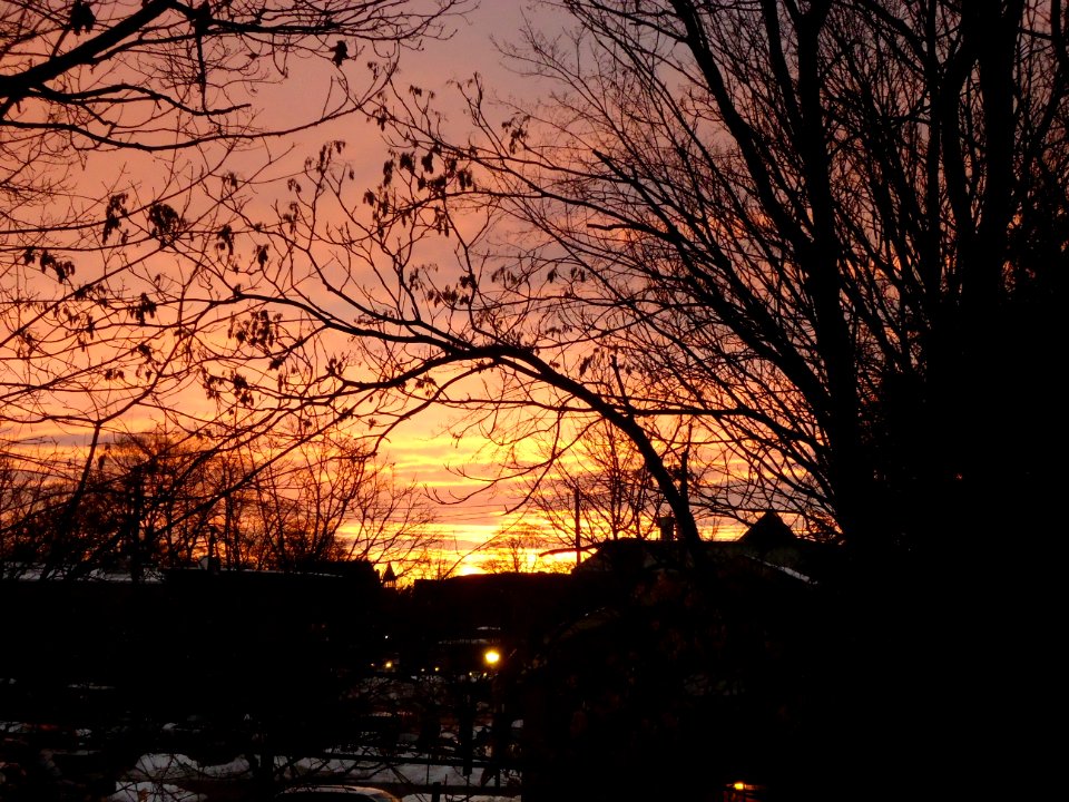 Summit New Jersey looking west sunset through bare trees with clouds