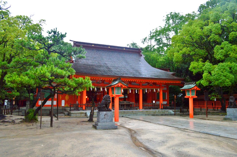 Sumiyoshi-jinja (Fukuoka) haiden-1