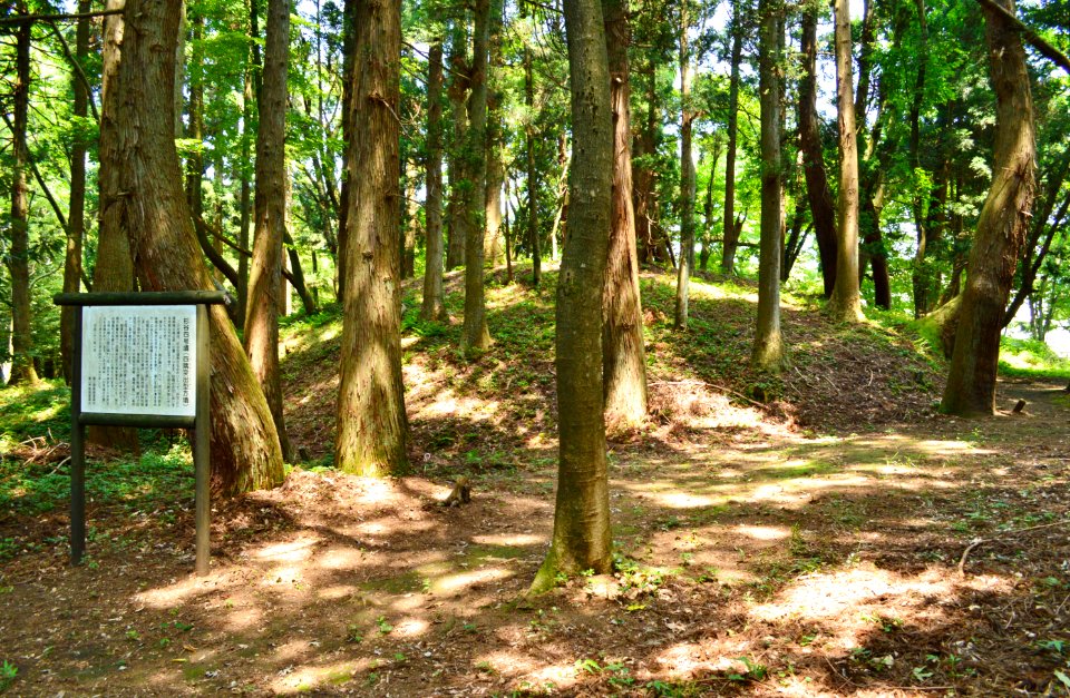 Sugitani Kofun Group-4, funkyu