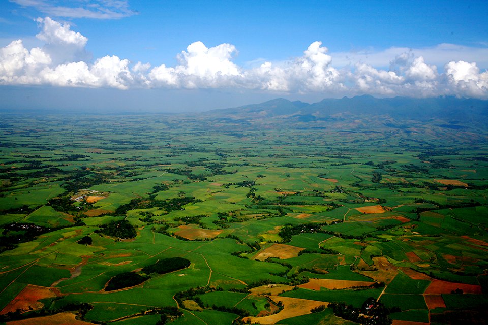 Sugarcane plantations Bacolod Philippines