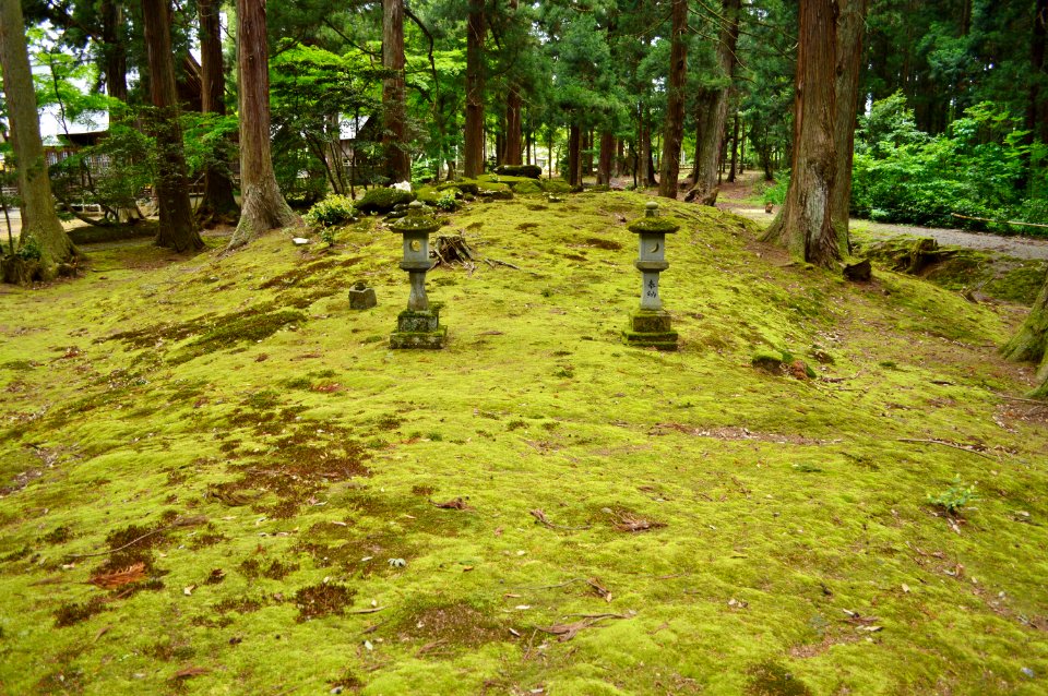 Sugawara Kofun, kouenbu