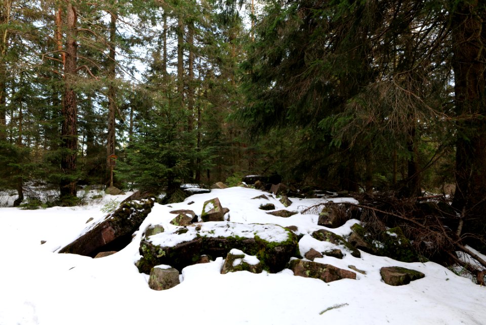 Summit of Hoher Ochsenkopf 2020-03-15 02