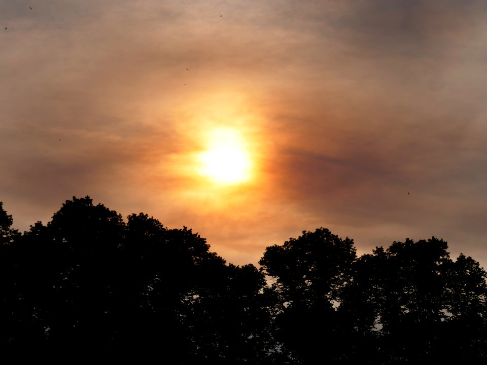 Sun behind clouds and forest fire smoke in Berlin-Spandau 2019-06-03 05