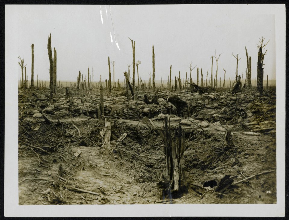 Summer has been changed to winter by the British guns. Last week this wood was b, Bestanddeelnr 158-0726