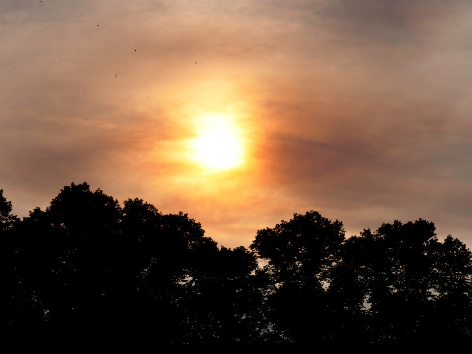 Sun behind clouds and forest fire smoke in Berlin-Spandau 2019-06-03 04