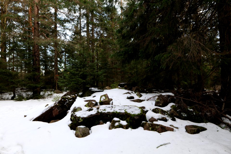 Summit of Hoher Ochsenkopf 2020-03-15 01
