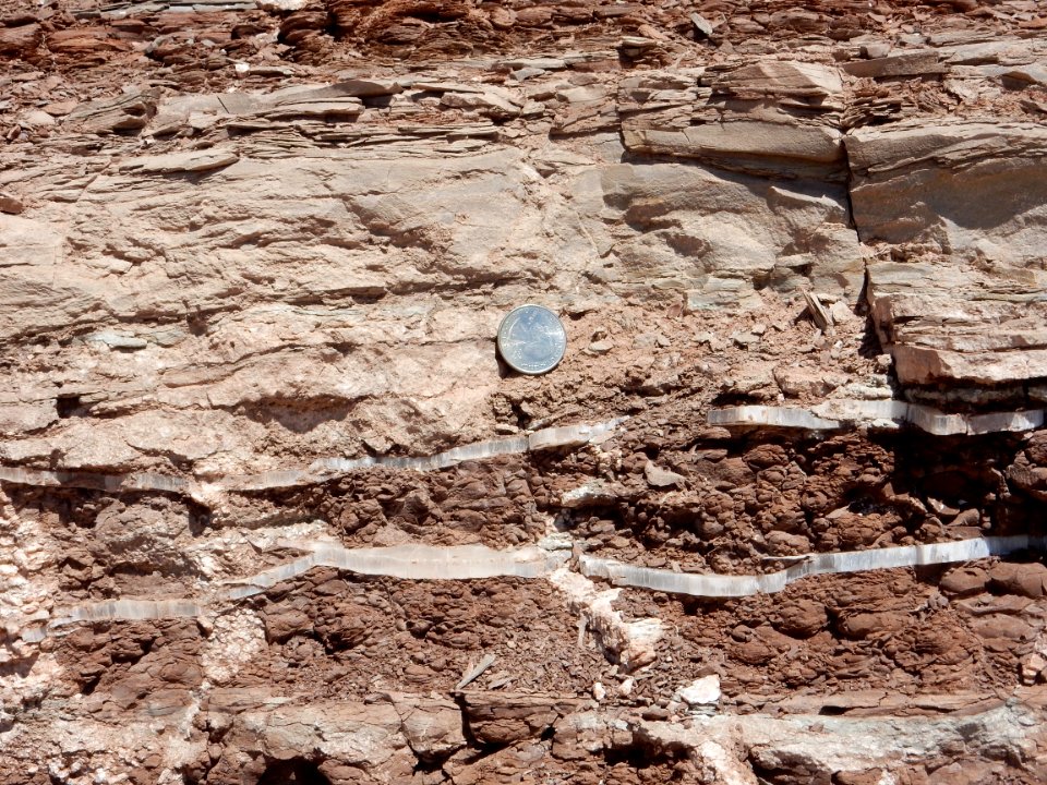 Summerville Formation gypsum cracks