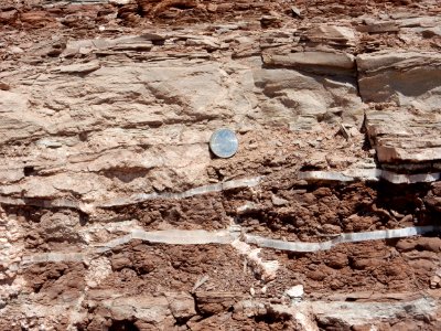Summerville Formation gypsum cracks photo