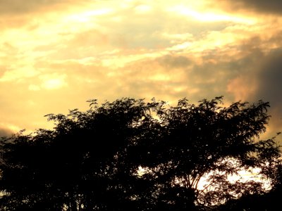 Summer Sunset (163863143)