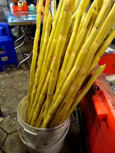 Sugar cane juice in Phnom Penh 1