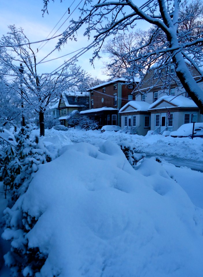 Summit New Jersey street with snow and trees in early light