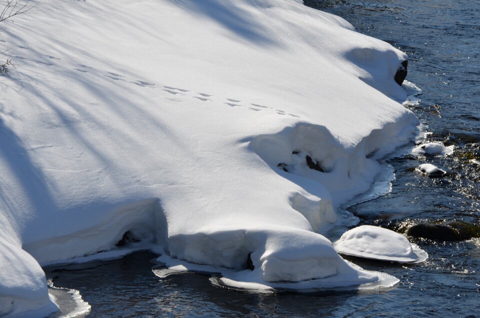 White nature season