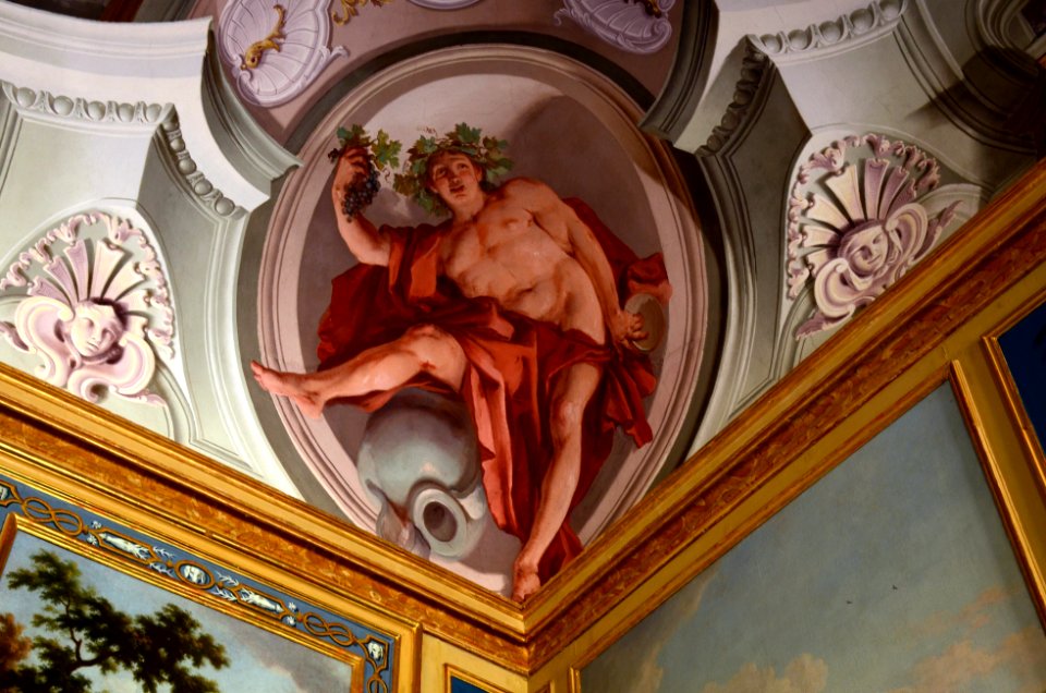 Stupinigi 25 07 2015 11 Sala degli Scudieri