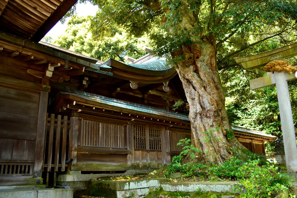 Sugoisobe-jinja, honden-1