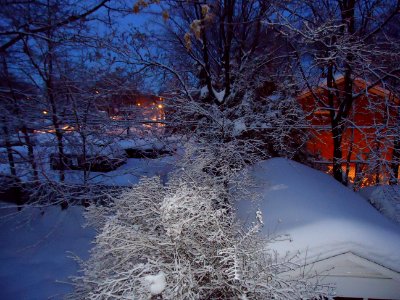 Summit New Jersey view from window with snow and house and parking lot and trees