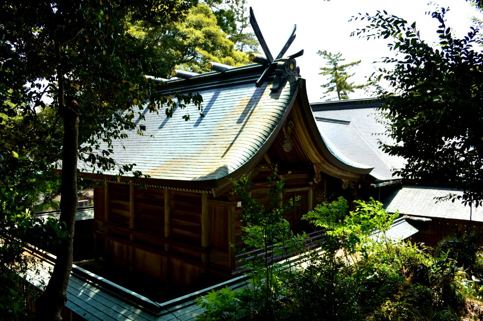 Sugoisobe-jinja, honden-2