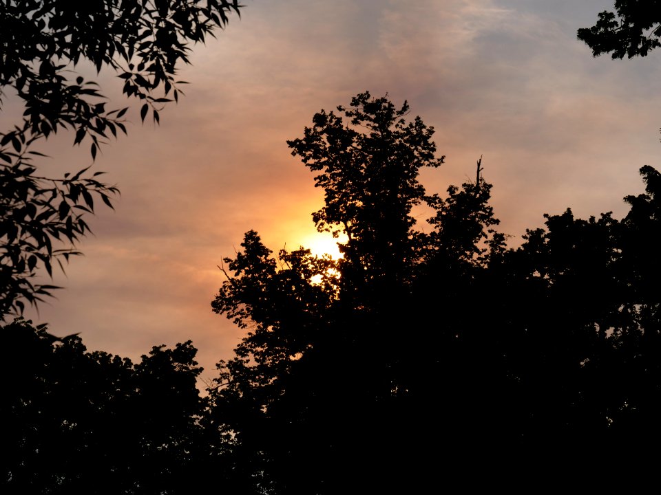 Sun behind clouds and forest fire smoke in Berlin-Spandau 2019-06-03 02