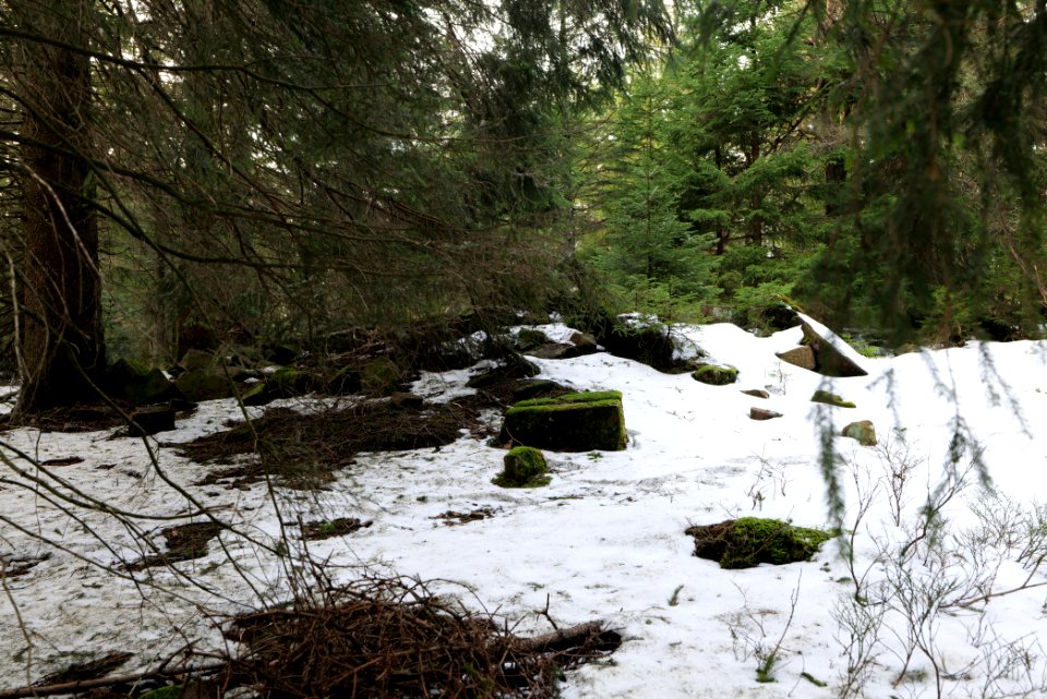 Summit of Hoher Ochsenkopf 2020-03-15 09