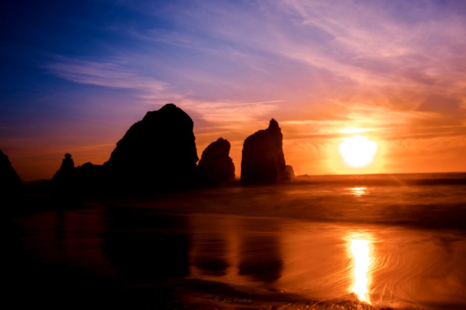 Sun (210247565)