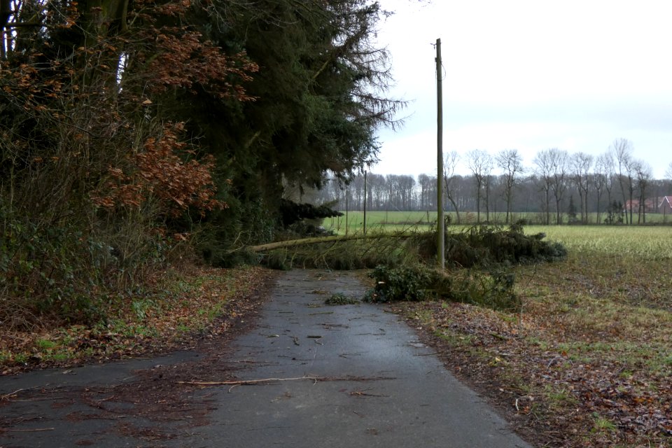 Sturmtief Friederike - Gescher