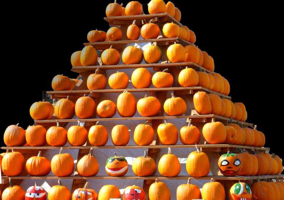 Pumpkin delicious october