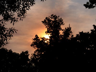 Sun behind clouds and forest fire smoke in Berlin-Spandau 2019-06-03 01