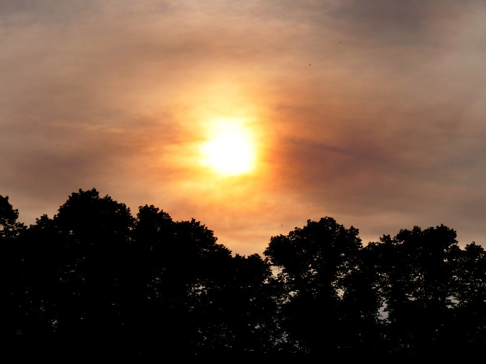 Sun behind clouds and forest fire smoke in Berlin-Spandau 2019-06-03 03