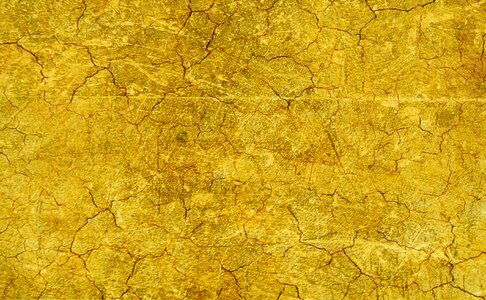 Cracks structure transience