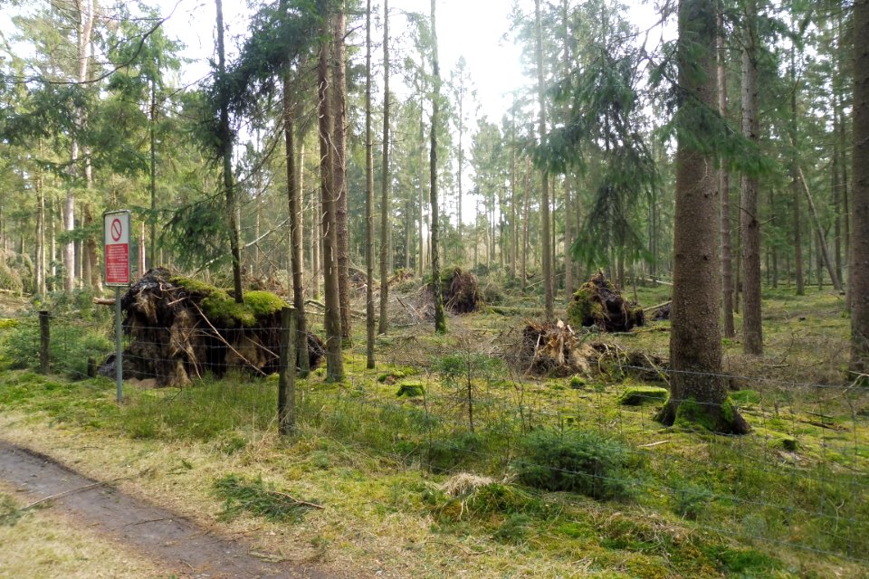 Stukenbrock - Furlbachtal - 9