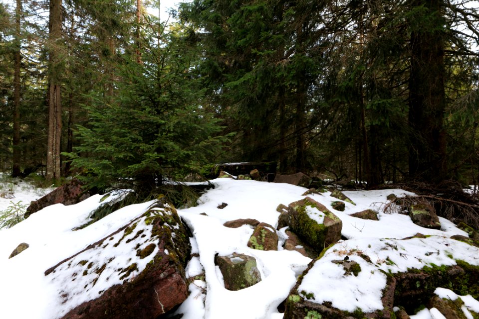 Summit of Hoher Ochsenkopf 2020-03-15 04