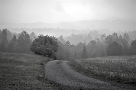 Field mist road photo