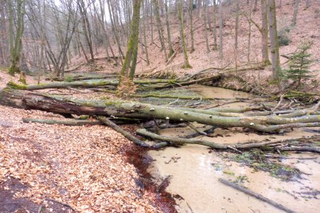 Stukenbrock - Furlbachtal - 11