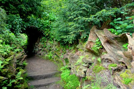Stumpery bower - Biddulph Grange Garden - Staffordshire, England - DSC09339