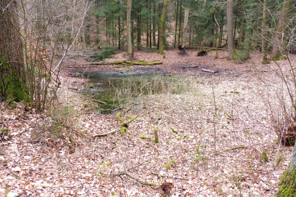 Stukenbrock - Furlbachtal - 15