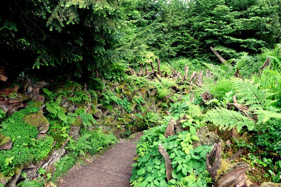 Stumpery - Biddulph Grange Garden - Staffordshire, England - DSC09327