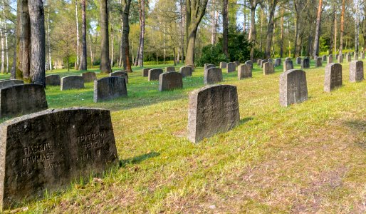 Stukenbrock - 2016-05-01 - Sowjetischer Friedhof (020)
