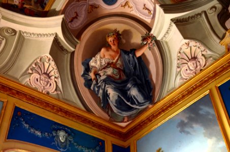 Stupinigi 25 07 2015 13 Sala degli Scudieri