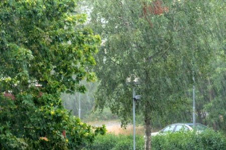 Summer rain in Brastad 2