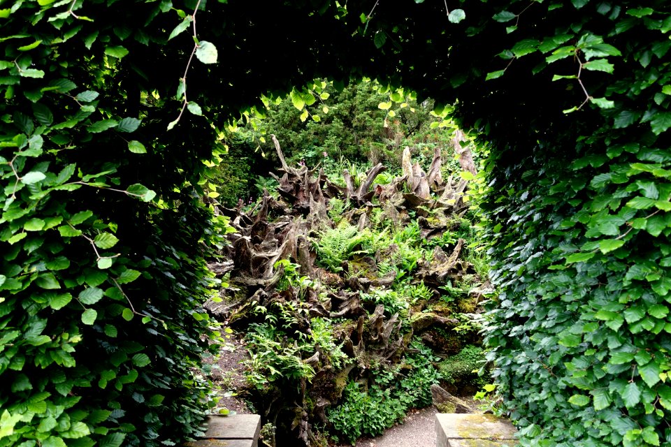 Stumpery entrance - Biddulph Grange Garden - Staffordshire, England - DSC09303