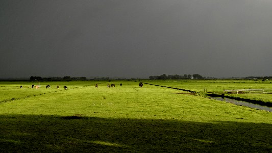 Summer Rain (221269359)
