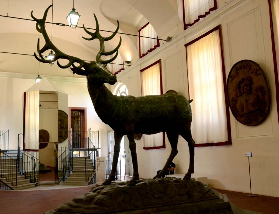 Stupinigi 25 07 2015 05 Cervo