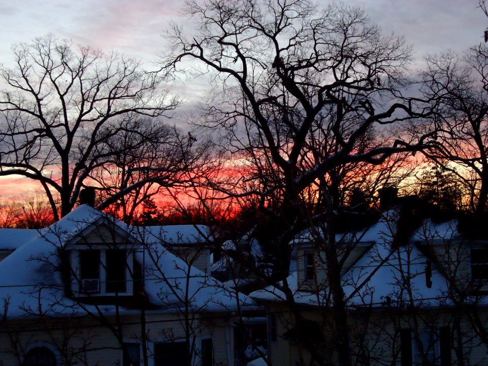Summit New Jersey sunrise in winter with trees and snow covered houses